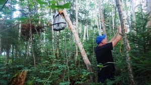 Nafukovací kajaky a kanoe na řece Moisie