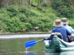 Nafukovací kajaky a kanoe na řece Moisie